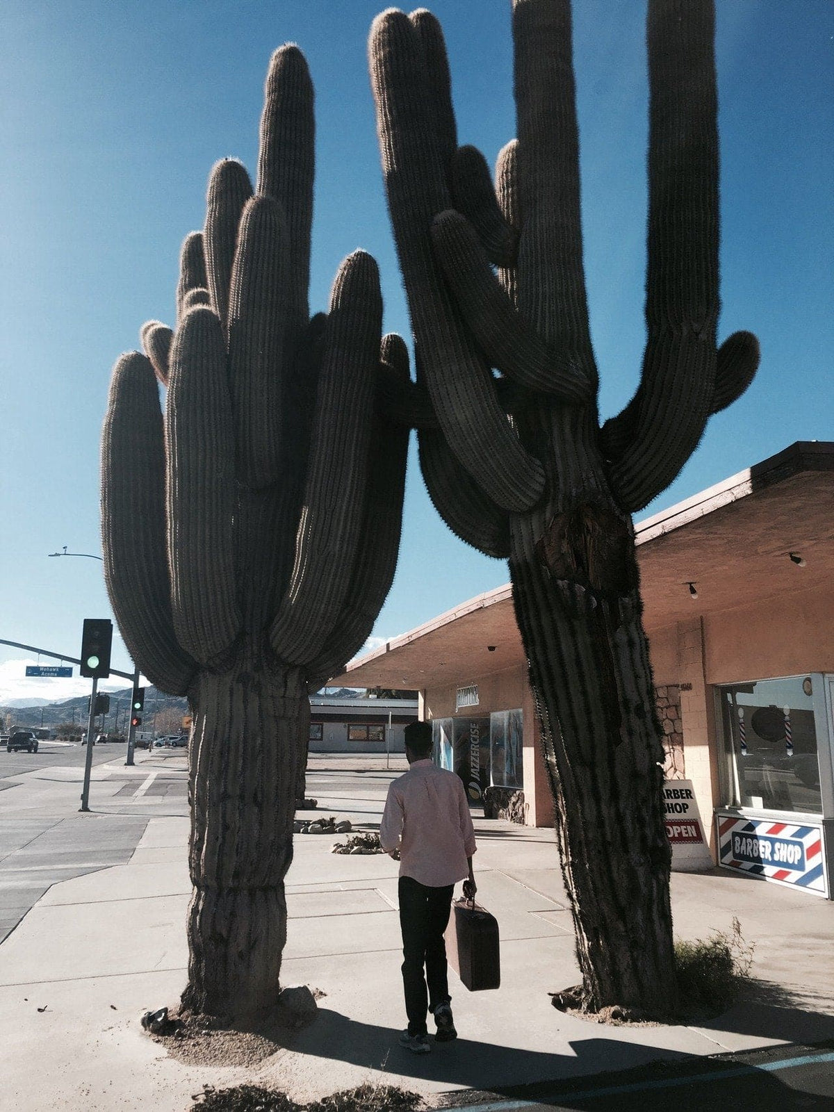Vintage print "Cactus on the road" by Océane BURET