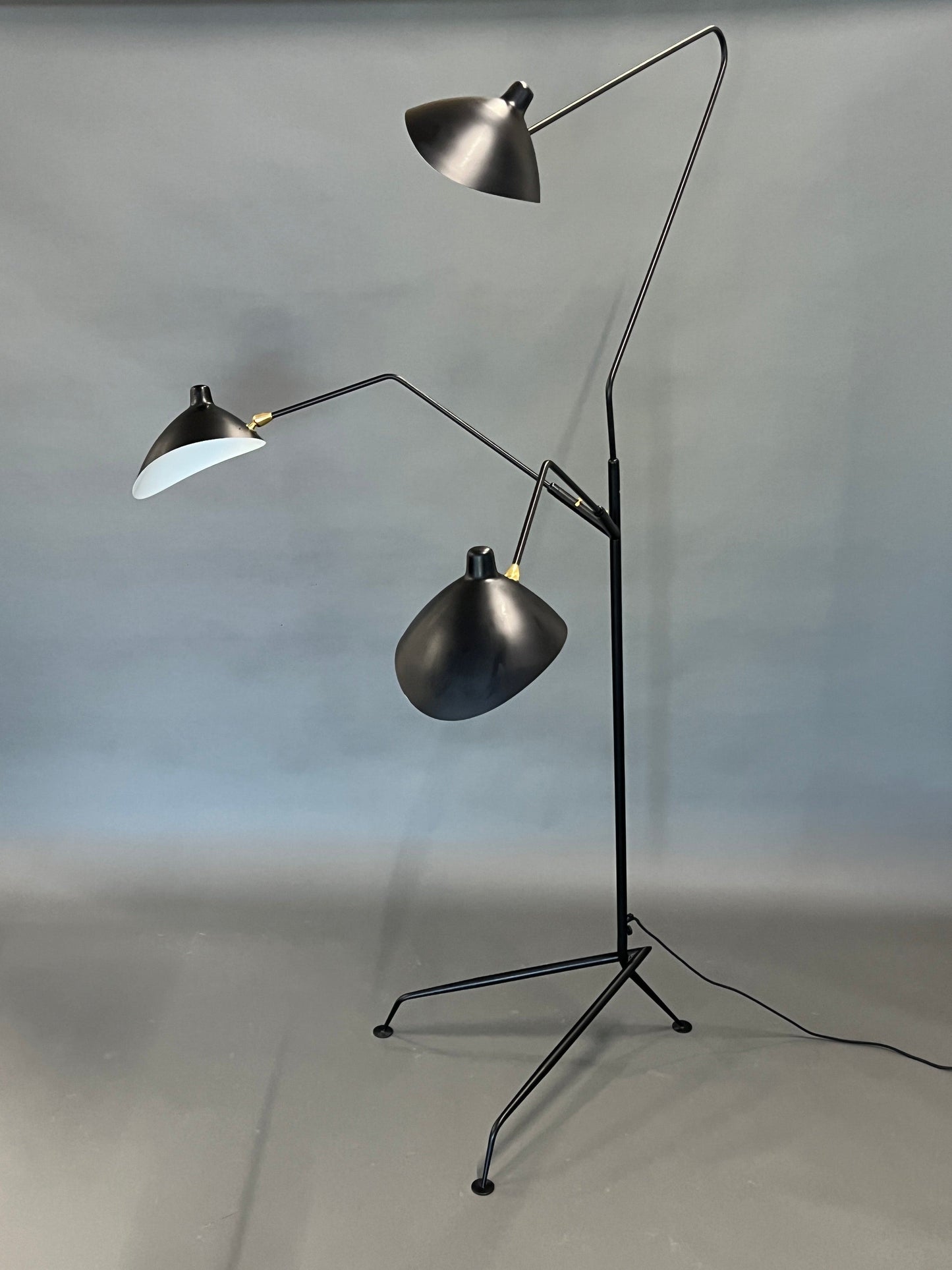 Floor lamp in the style of Mouille