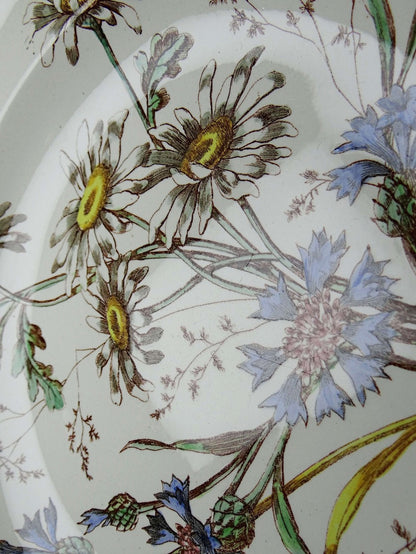 Vintage Teller "Marguerites" von Longchamp, Terre de Fer