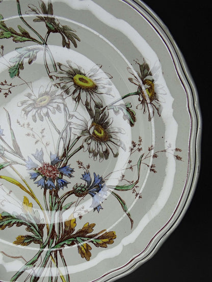 Vintage Teller "Marguerites" von Longchamp, Terre de Fer