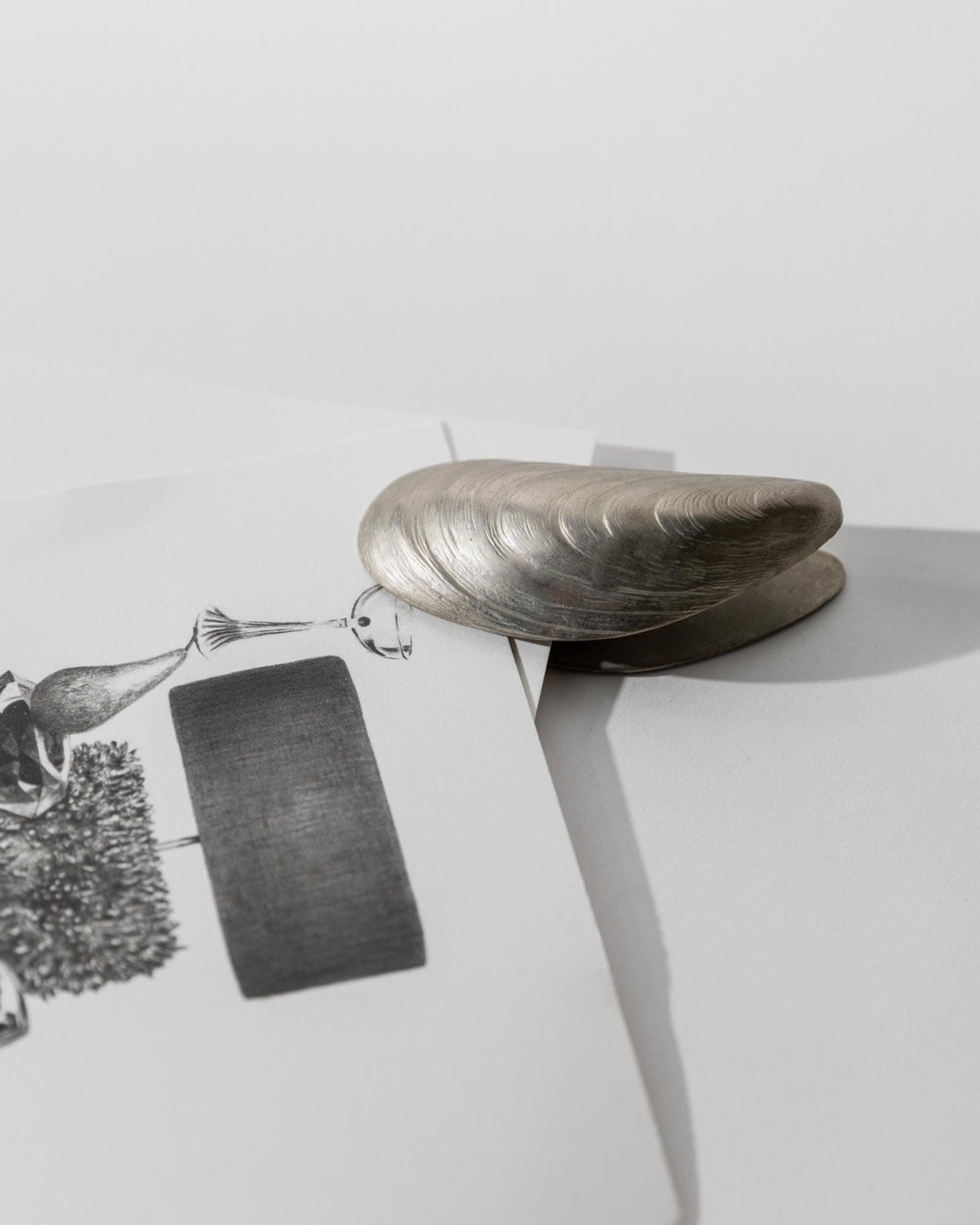 Vintage Papierklammer Muschelform aus Silber, um 1900