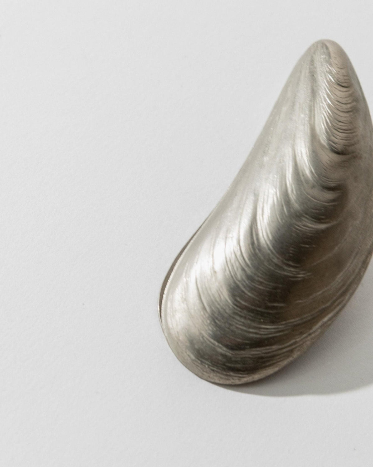 Vintage Papierklammer Muschelform aus Silber, um 1900