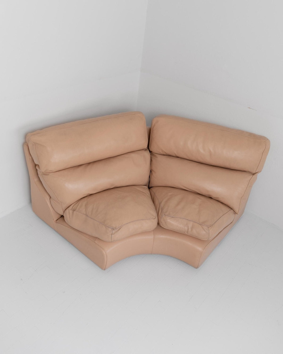 Vintage Sofa Petronio von Tito Agnoli für Poltrona Frau Blush Leder