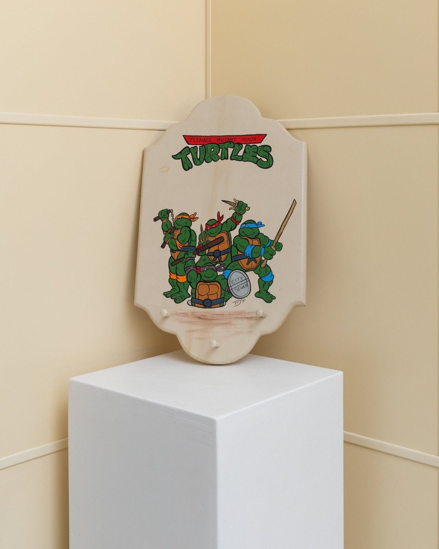 Vintage Kleiderschrank Teenage Mutant Ninja Turtles Motiv Unikat