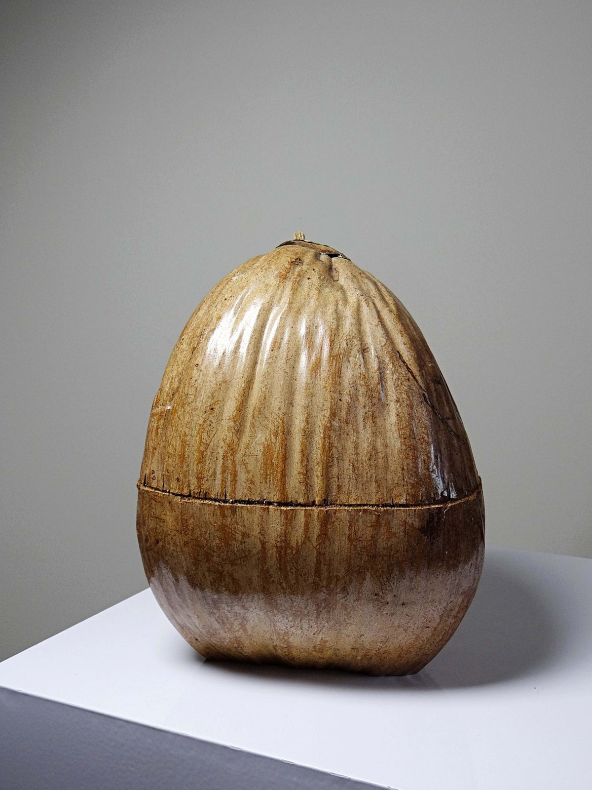 Vintage Dose Kokosnuss, afrikanisches Kunsthandwerk