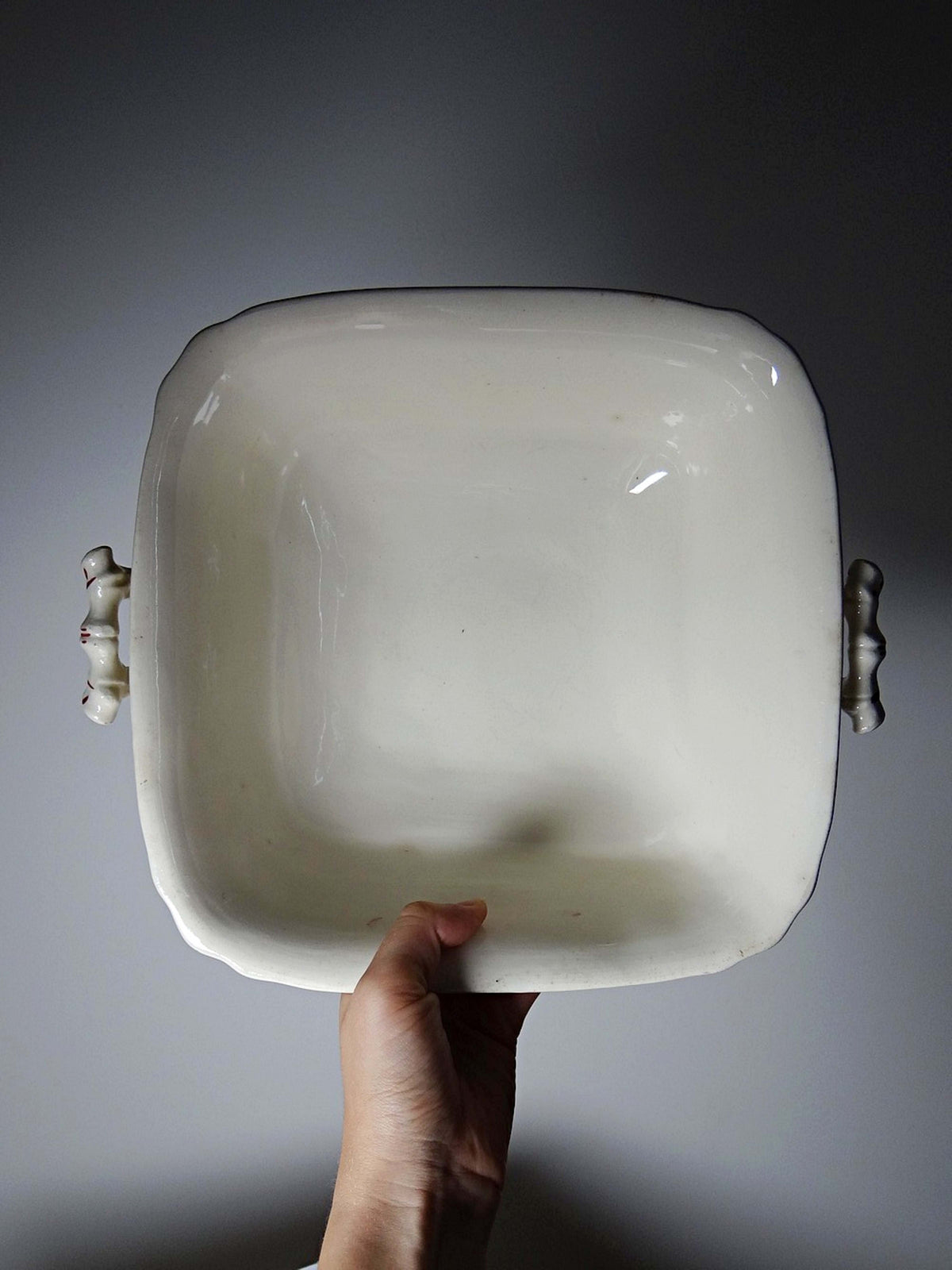 Vintage Terrine "Pâquerettes" von Longchamp, Art Nouveau
