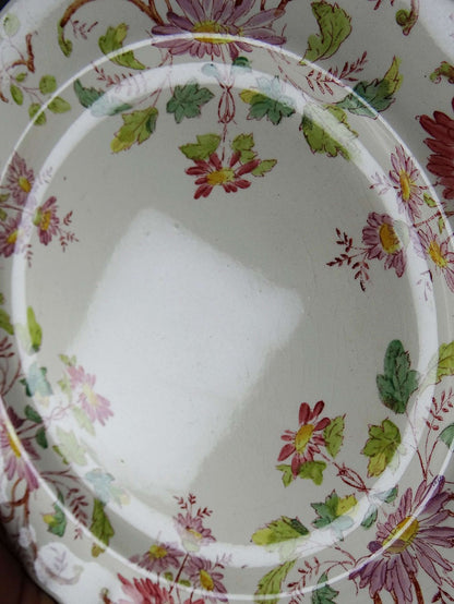 Set von 4 Vintage Dessertteller "Pâquerettes" von Longchamp