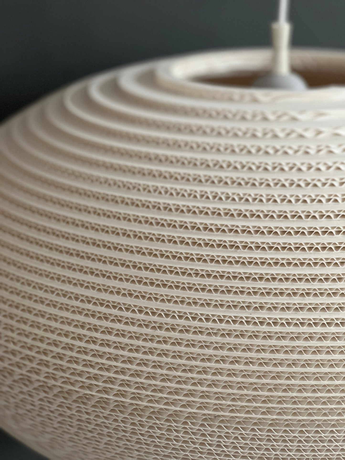 Suspension Scraplight Disc 24 de Graypants en gris