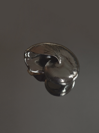 Vintage Skulptur Nautilusmuschel