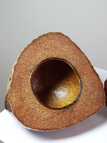 Vintage Dose Kokosnuss, afrikanisches Kunsthandwerk